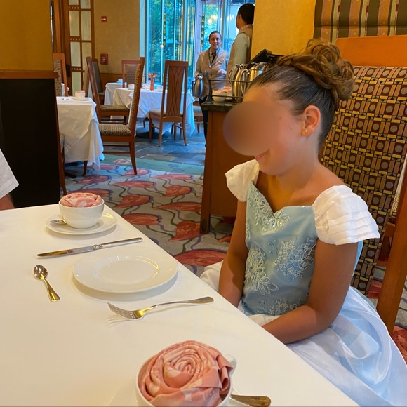 Disney Signature Princess Gown from Bibbidi Bobbidi Boutique in Disneyland - Picture 3 of 5